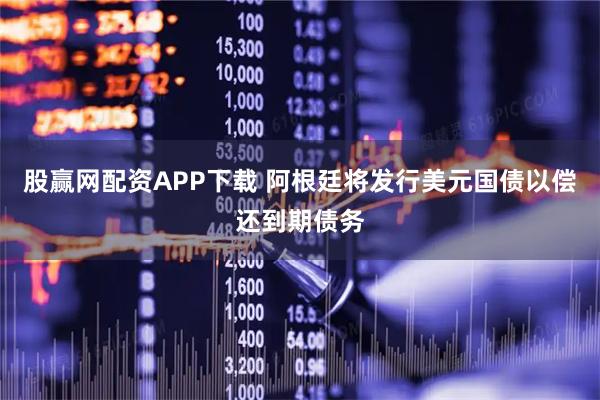 股赢网配资APP下载 阿根廷将发行美元国债以偿还到期债务