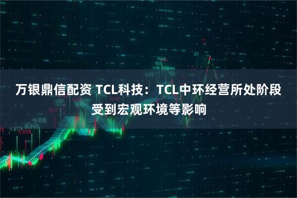 万银鼎信配资 TCL科技：TCL中环经营所处阶段受到宏观环境等影响